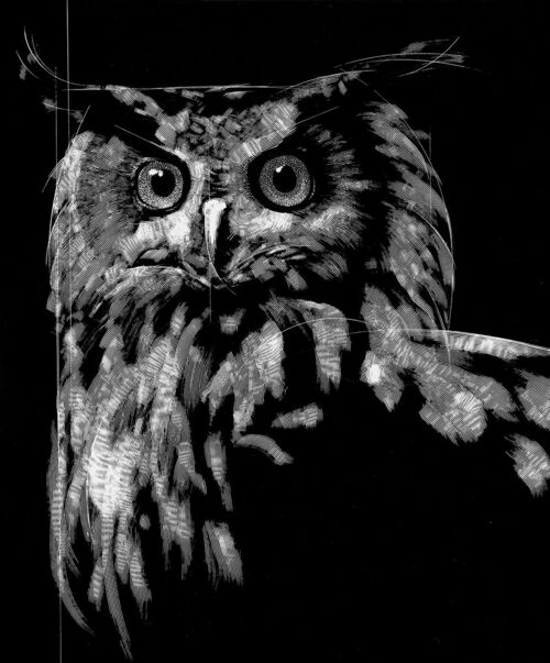 Hibou