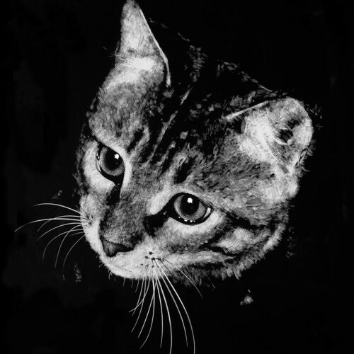 Pétoche